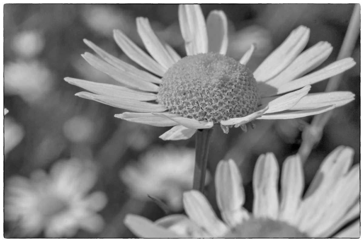 �������... ����� ������  �� PhotoGeek.ru #������ ��� ������� #����� ��������������