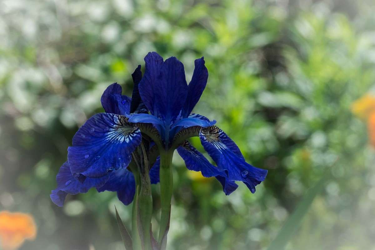 ���� �� ���������.... ����� ������  �� PhotoGeek.ru #������ ��� ������� #����� ��������������