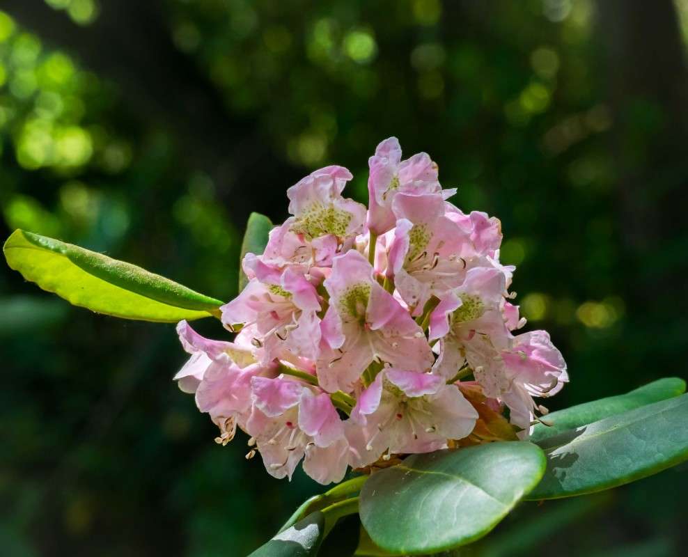 ��������... ����� ������  �� PhotoGeek.ru #�������� ���