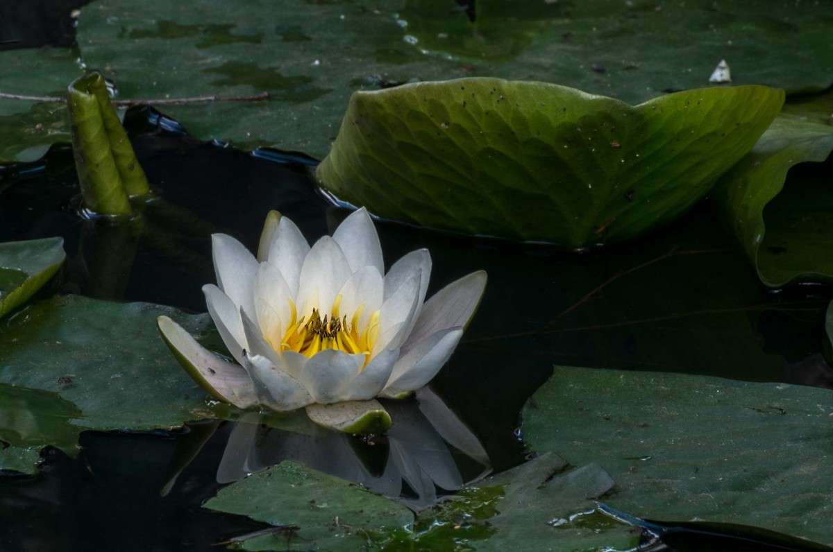 ....... ����� ������  �� PhotoGeek.ru #������ ��� �������