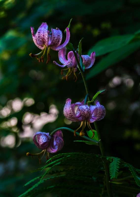 ������ ���������... ����� ������  �� PhotoGeek.ru #������ ��� ������� #����� ��������������