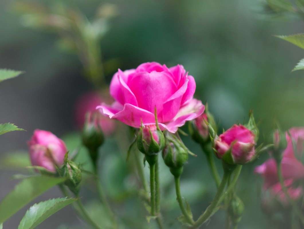 ������� ����.. ����� ������  �� PhotoGeek.ru #������ ��� ������� #����� ��������������