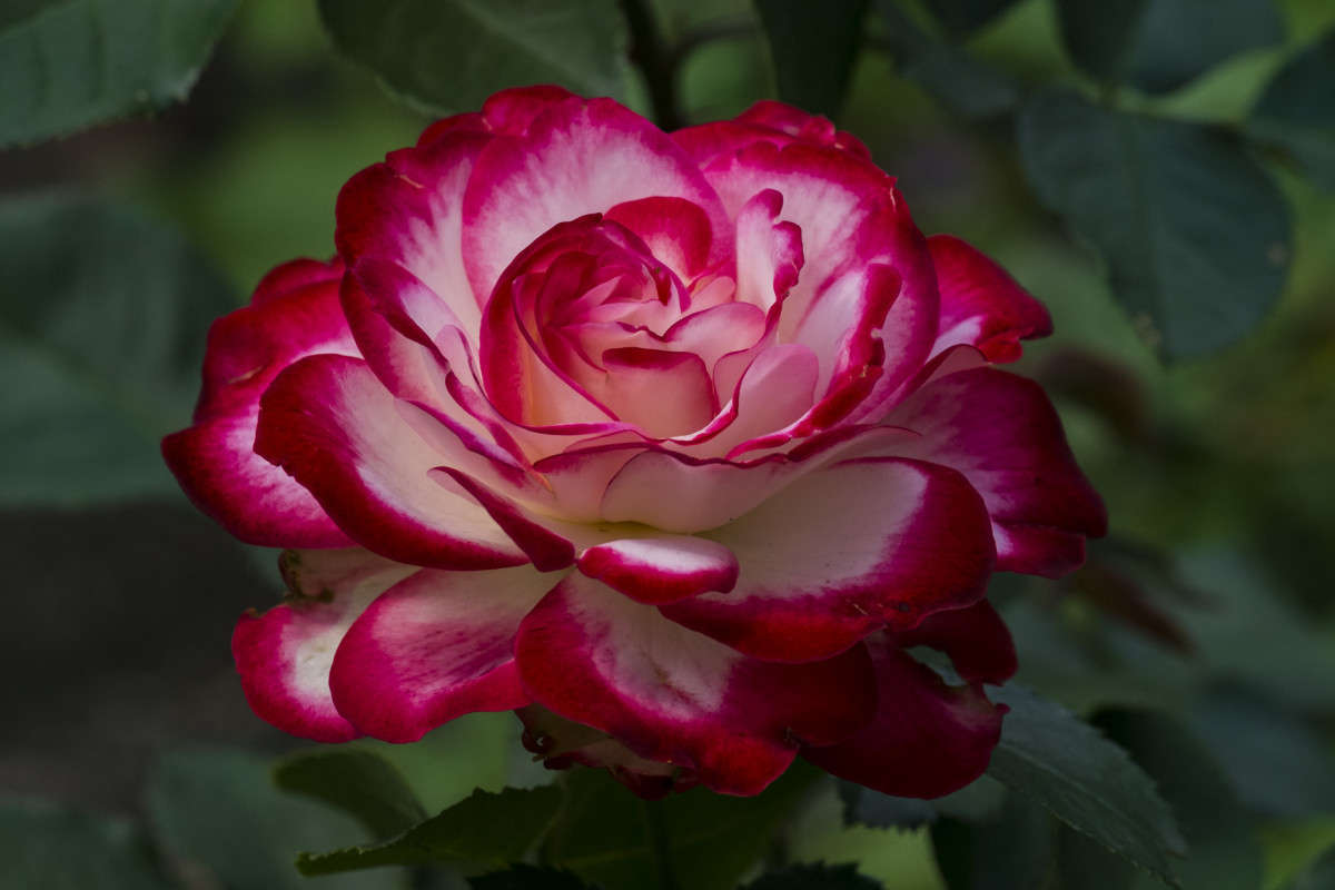 ����-������� ����... ����� ������  �� PhotoGeek.ru #������ ��� �������