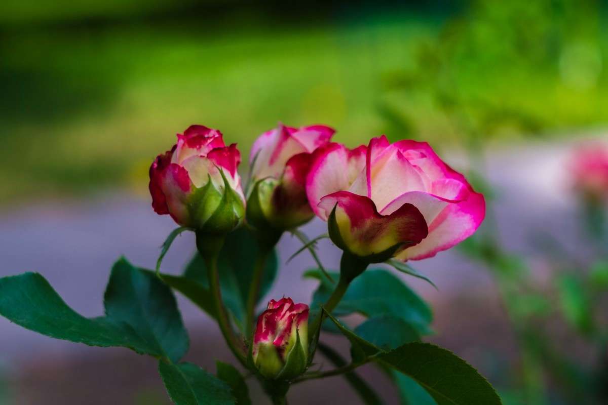 �������� �������.. ����� ������  �� PhotoGeek.ru #������ ��� �������