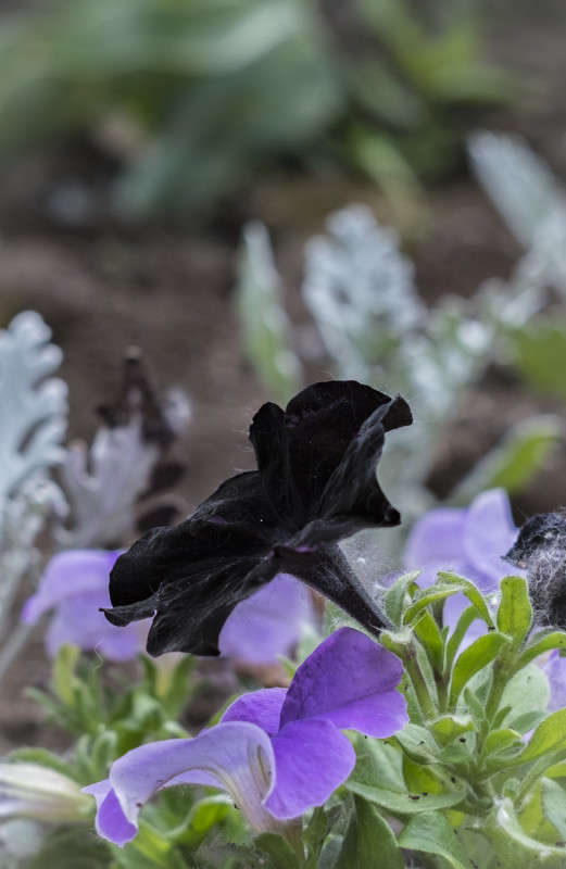 � �� ����� ��� ���.... ����� ������  �� PhotoGeek.ru #������ ��� ������� #����� ��������������