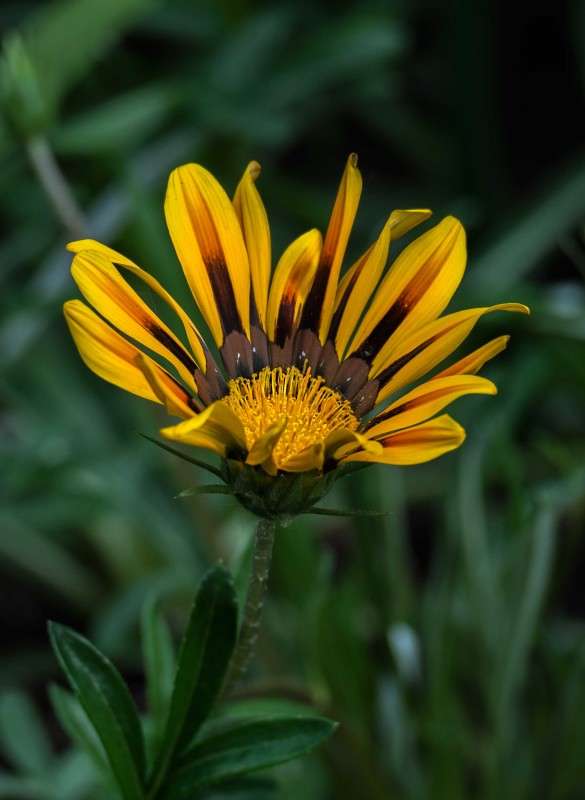 ...... ����� ������  �� PhotoGeek.ru #������ ��� ������� #����� ��������������