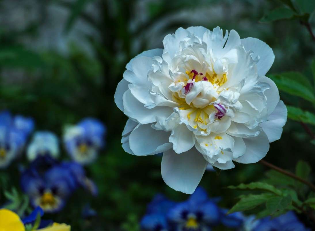 ����������...... ����� ������  �� PhotoGeek.ru #������ ��� ������� #����� ��������������