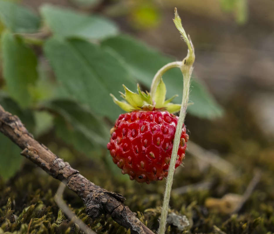 ���������� ����� ������  �� PhotoGeek.ru #������ ��� ������� #����� ��������������