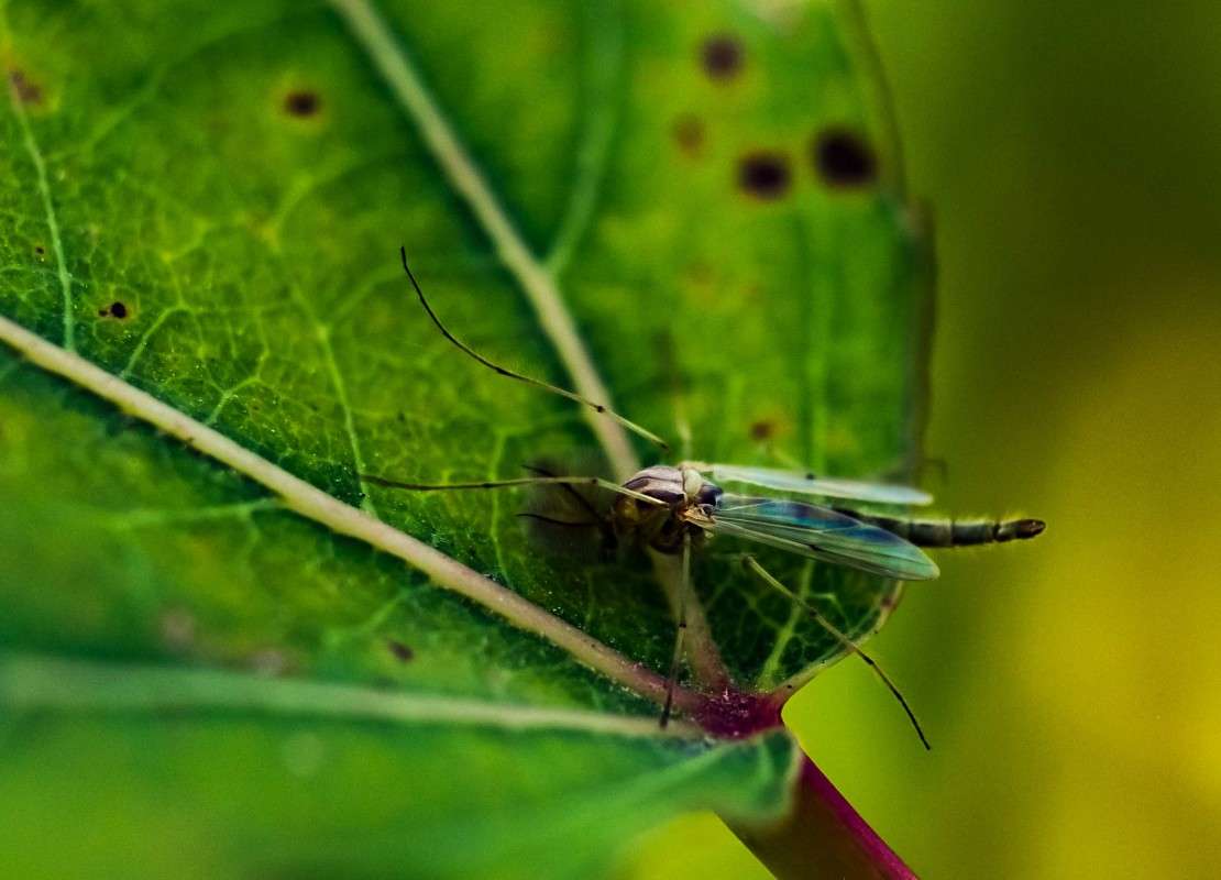 ��������� ����� ������  �� PhotoGeek.ru #����� #���������