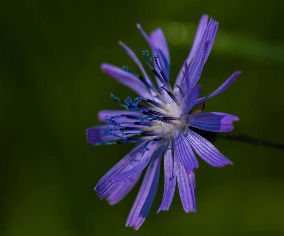 ........ ����� ������  �� PhotoGeek.ru #������ ��� ������� #����� ��������������