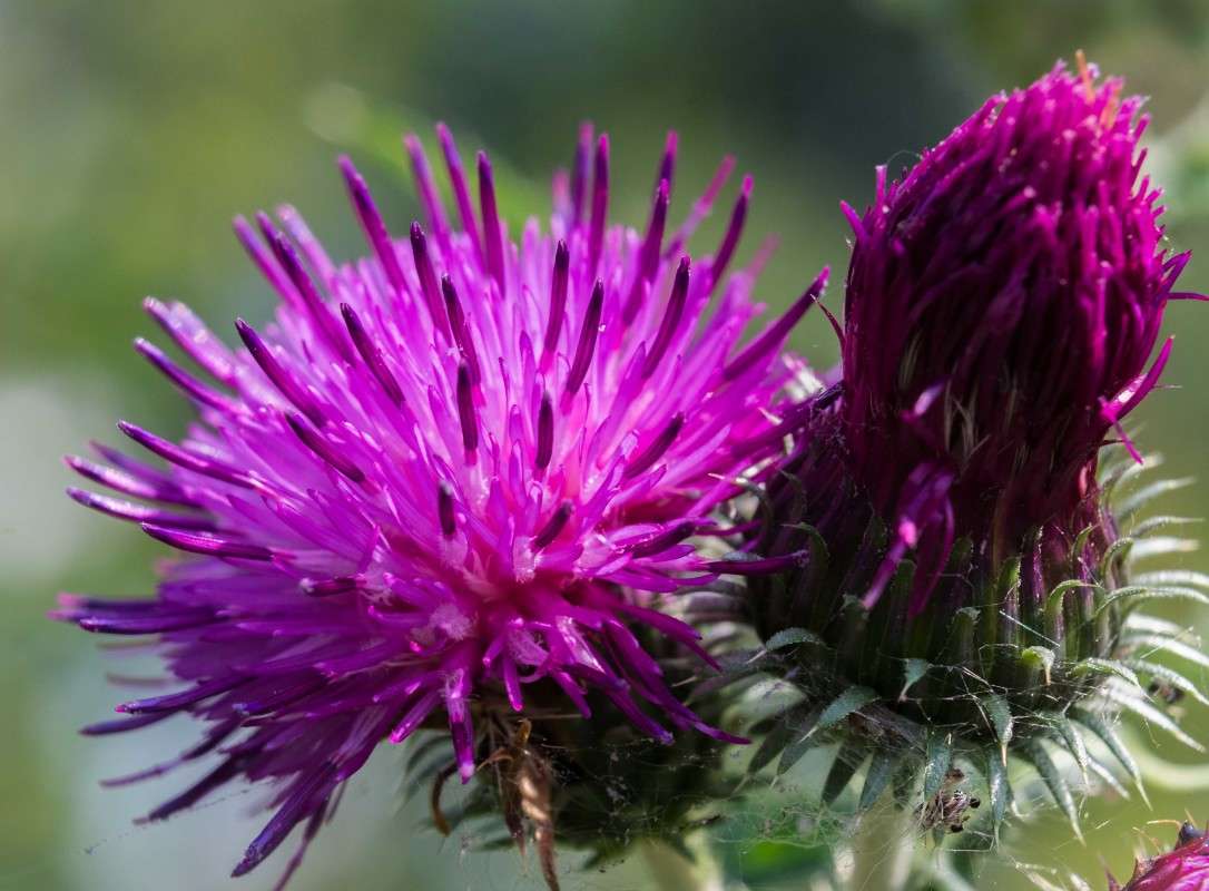 ....... ����� ������  �� PhotoGeek.ru #������ ��� ������� #����� ��������������