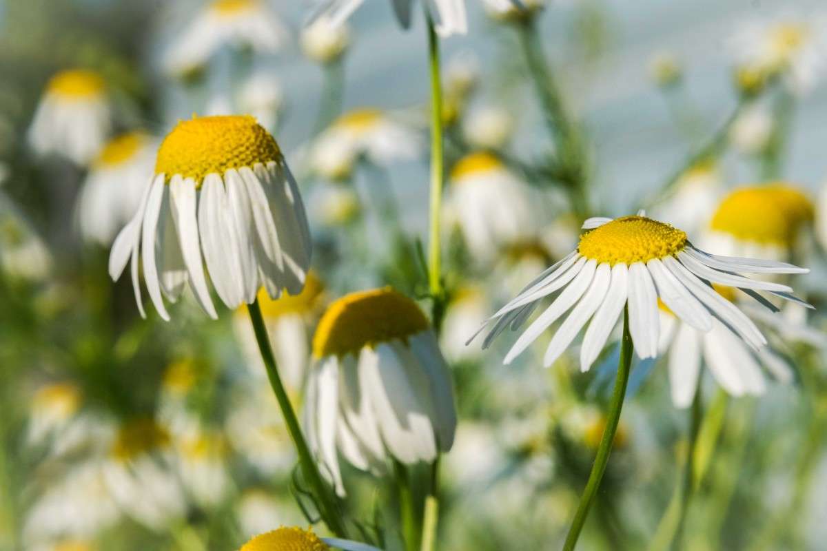 ���������� ����.. ����� ������  �� PhotoGeek.ru #������ ��� ������� #����� ��������������