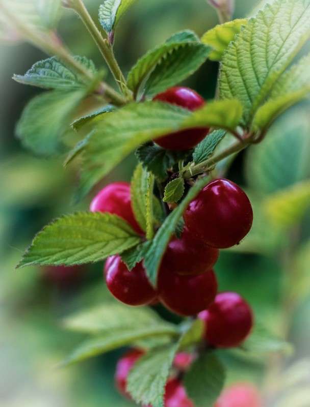 ����� ����� ������  �� PhotoGeek.ru #������ ��� ������� #����� ��������������