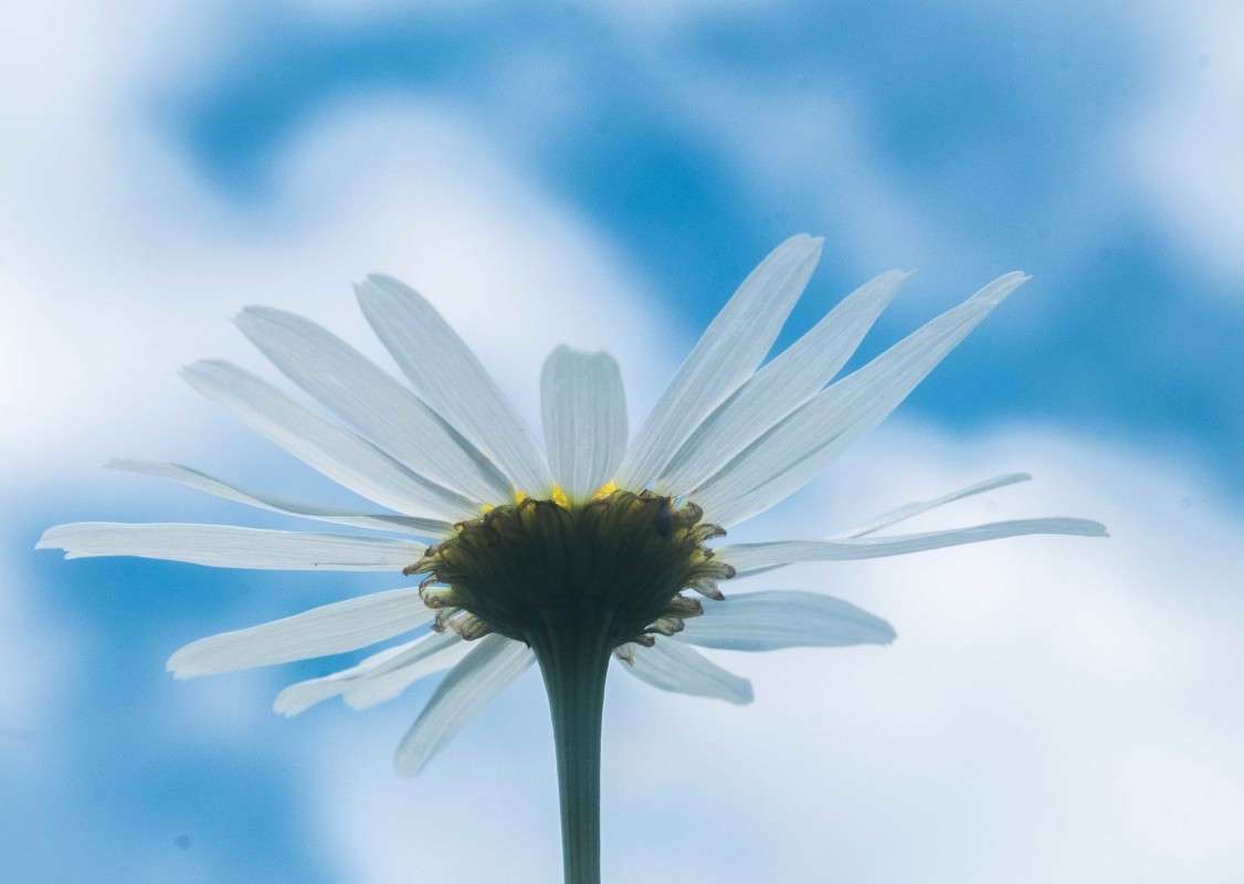 ������� �� ����... ����� ������  �� PhotoGeek.ru #������ ��� ������� #����� ��������������