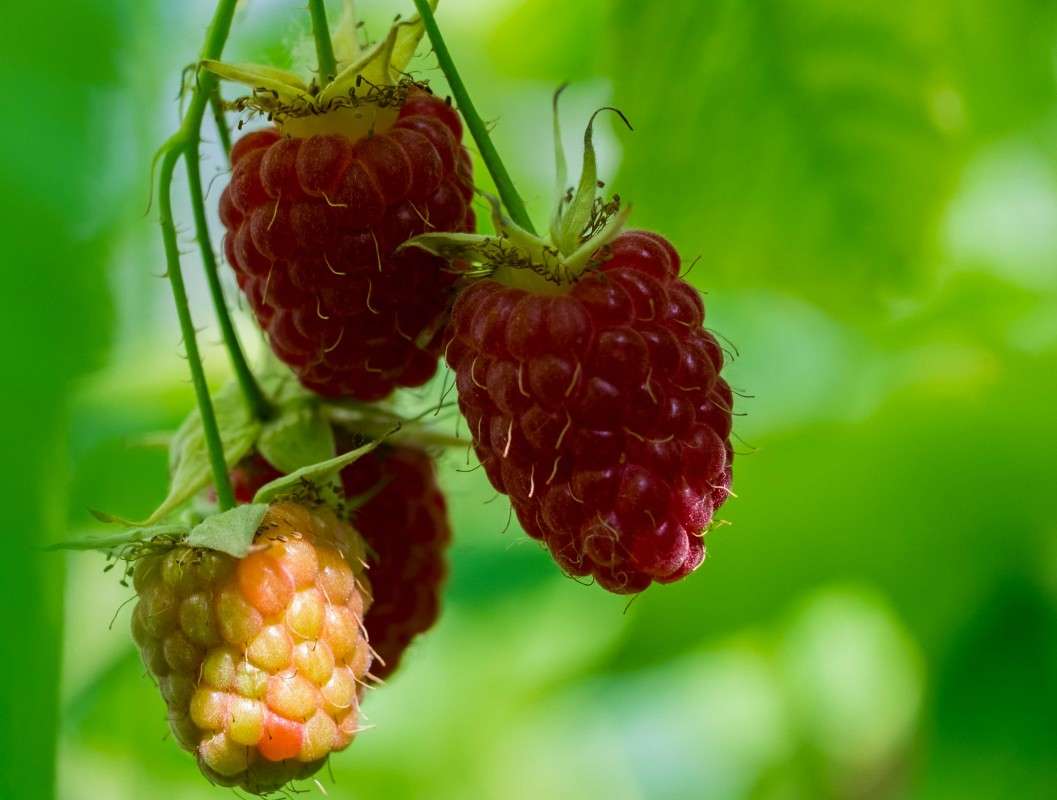 ����� ������.... ����� ������  �� PhotoGeek.ru #������ ��� ������� #����� ��������������