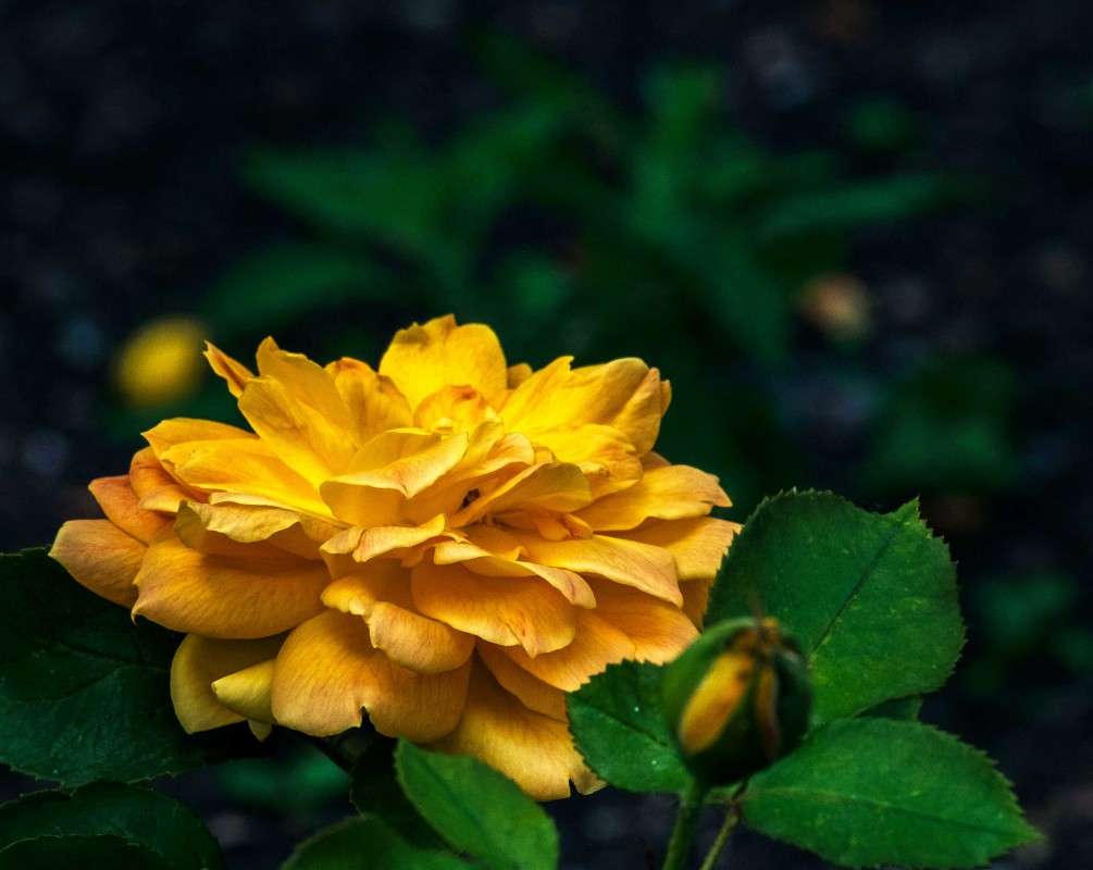 ����.. ����� ������  �� PhotoGeek.ru #������ ��� ������� #����� ��������������