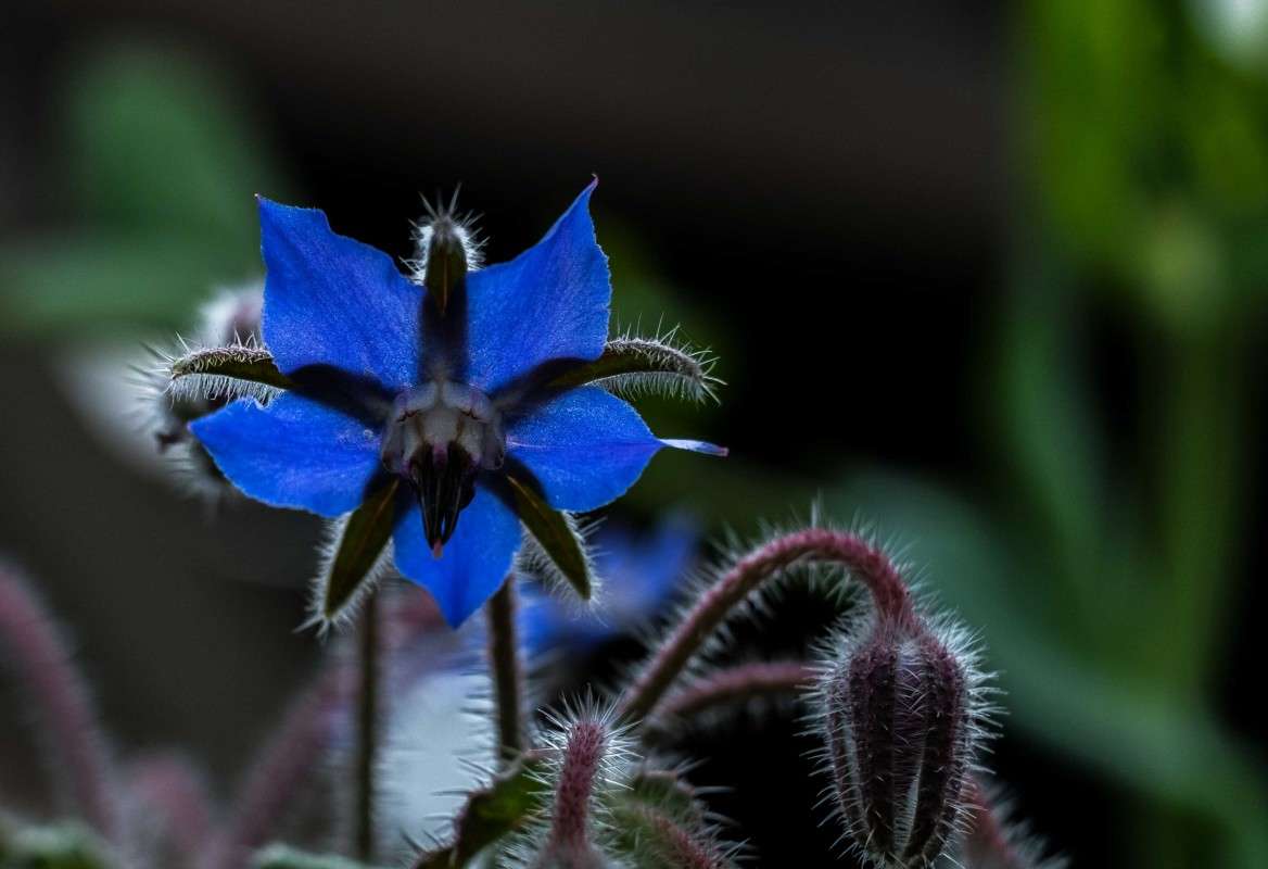 ..... ����� ������  �� PhotoGeek.ru #������ ��� �������