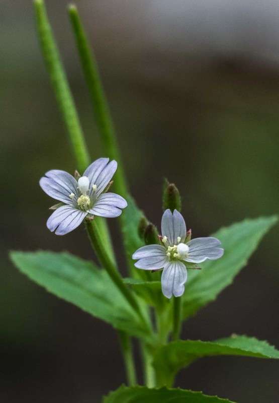 ..... ����� ������  �� PhotoGeek.ru #������ ��� ������� #����� ��������������