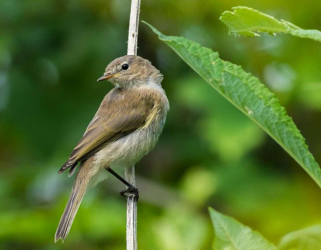 ��� ���� ����? ����� ������  �� PhotoGeek.ru #�������� ��� #����� ��� ��� ���������