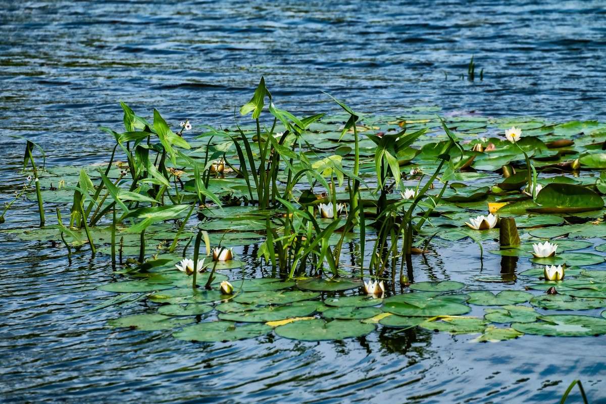 ���� ��� ����� �����.... ����� ������  �� PhotoGeek.ru #������ ��� ������� #����� ��������������