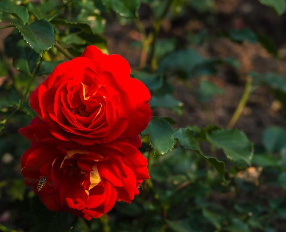 ��� ��� ��� ��������?..... ����� ������  �� PhotoGeek.ru #������ ��� ������� #����� ��������������