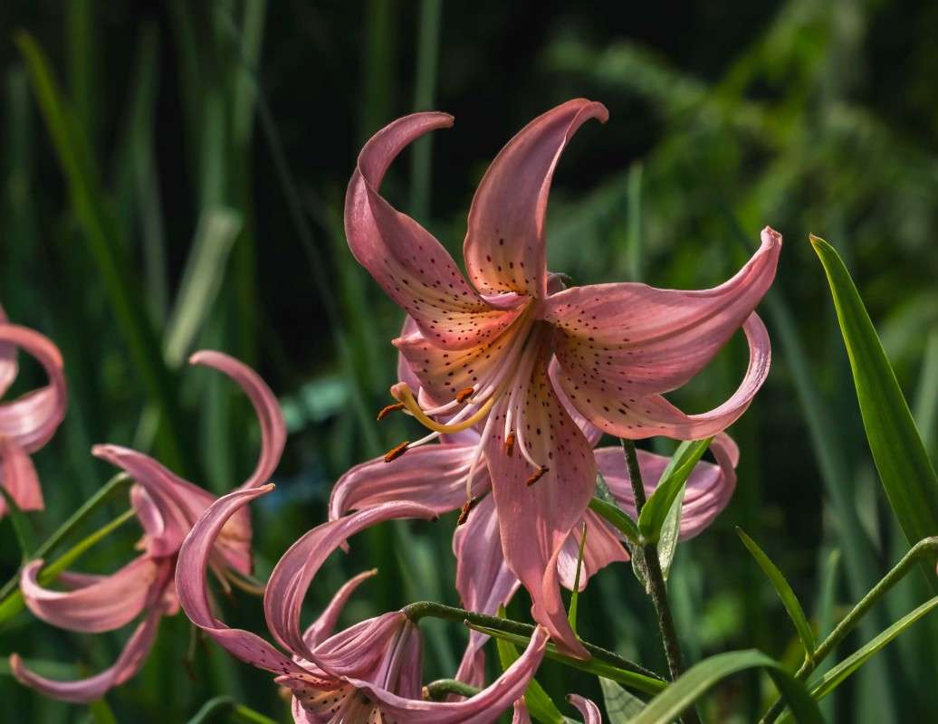 ���������... ����� ������  �� PhotoGeek.ru #������ ��� �������