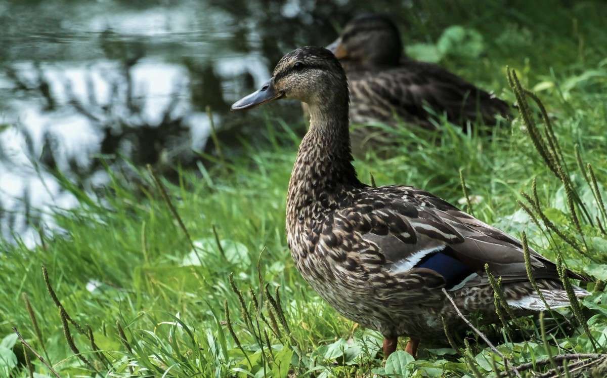 ������.. ����� ������  �� PhotoGeek.ru #�������� ��� #����� ��� ��� ���������