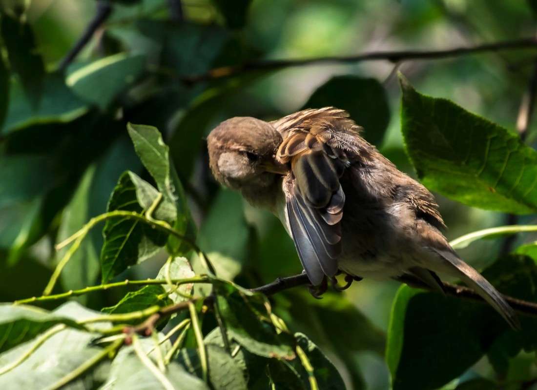 ���� ��� ������ ����... ����� ������  �� PhotoGeek.ru #�������� ���