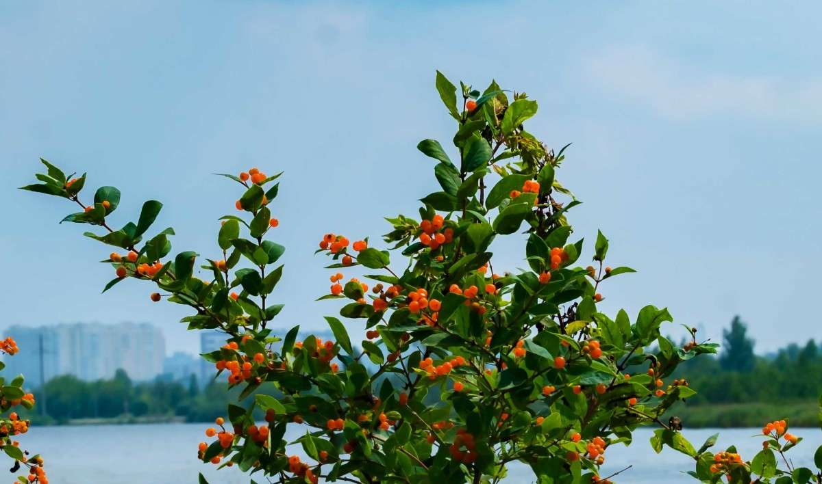 ........ ����� ������  �� PhotoGeek.ru #������ ��� �������