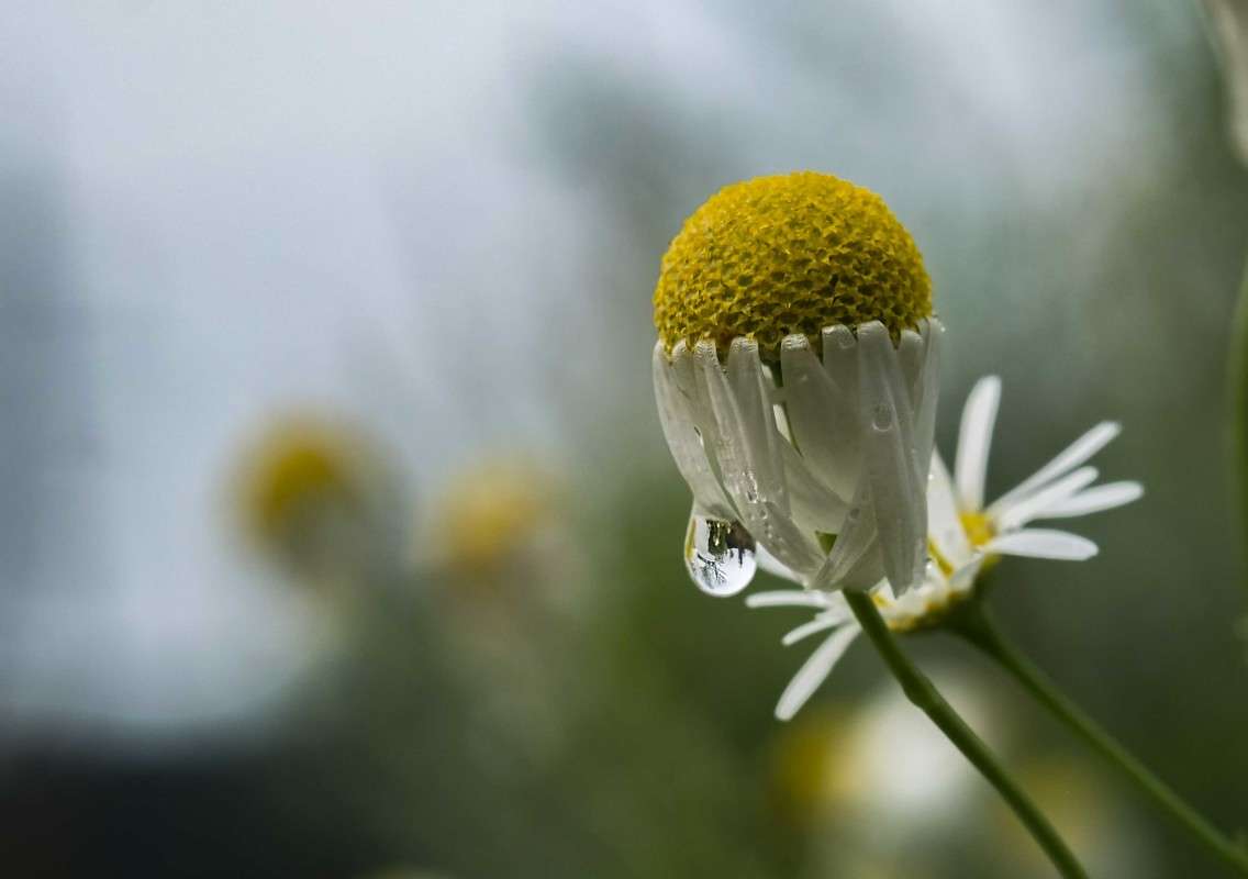 ����� �����..... ����� ������  �� PhotoGeek.ru #������ ��� ������� #����� ��������������