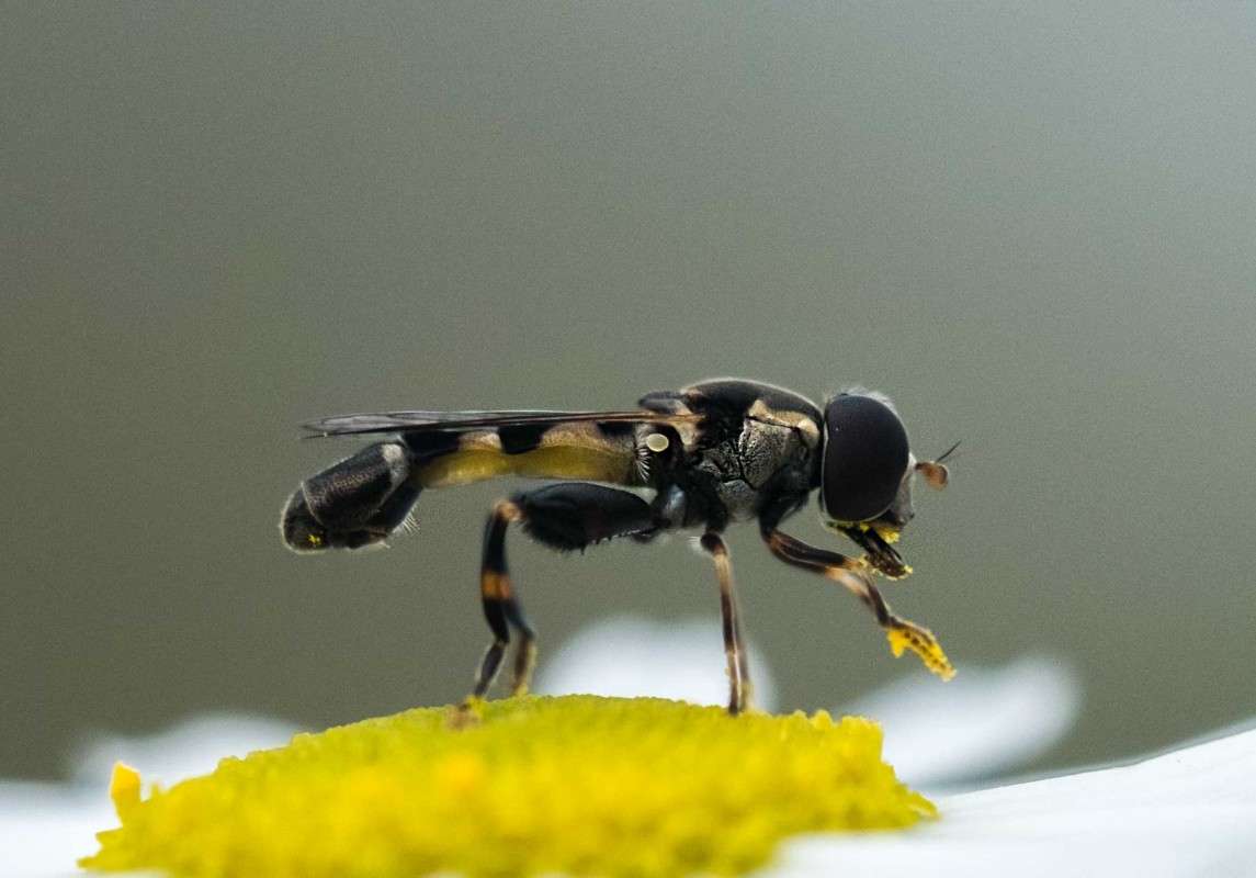 ����� �������-2 ����� ������  �� PhotoGeek.ru #�����