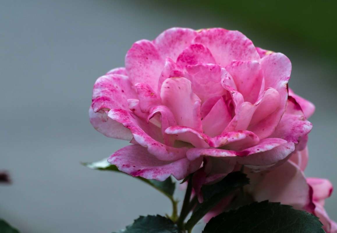 ���������... ����� ������  �� PhotoGeek.ru #������ ��� ������� #����� ��������������