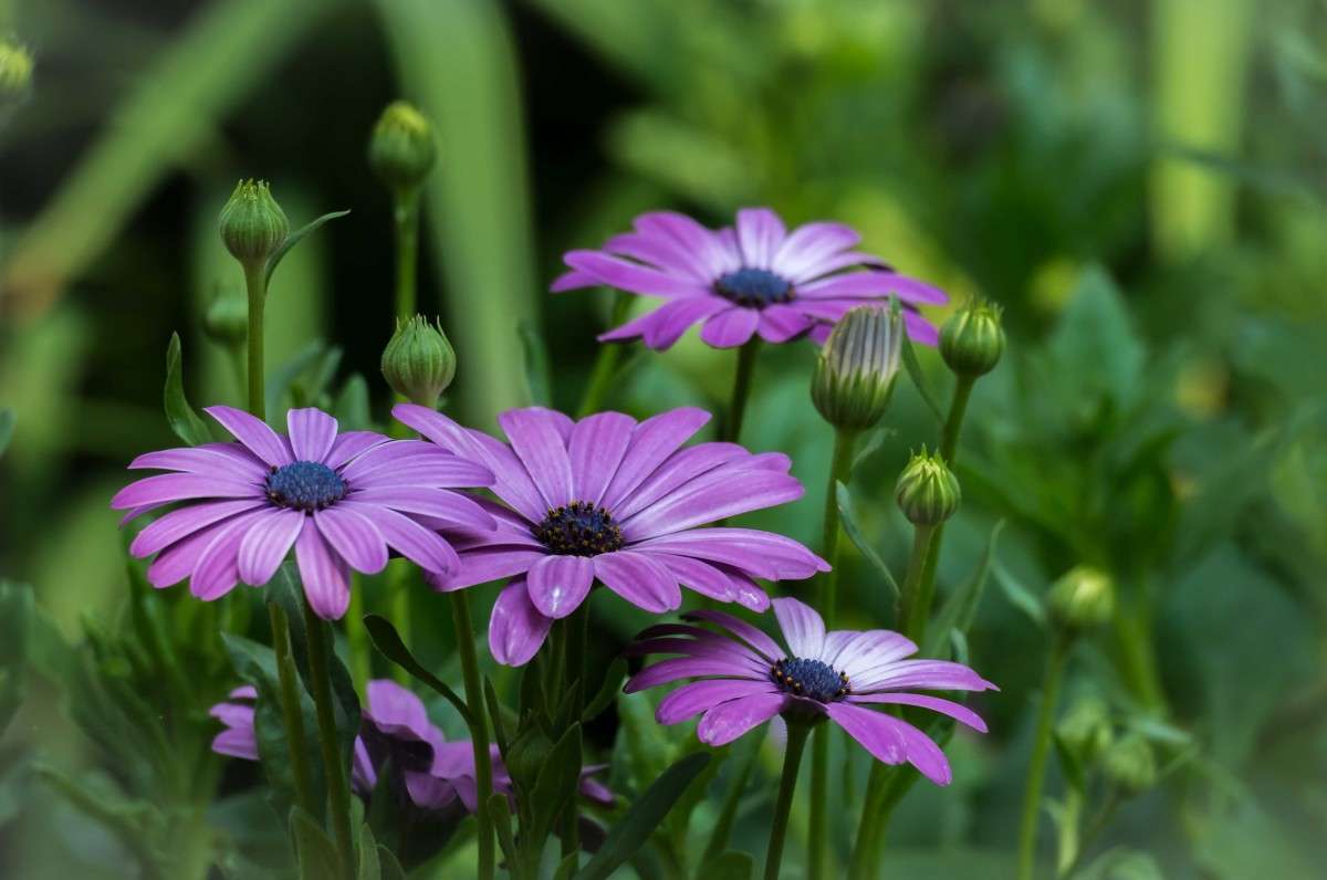 ���-���.. ����� ������  �� PhotoGeek.ru #������ ��� ������� #����� ��������������