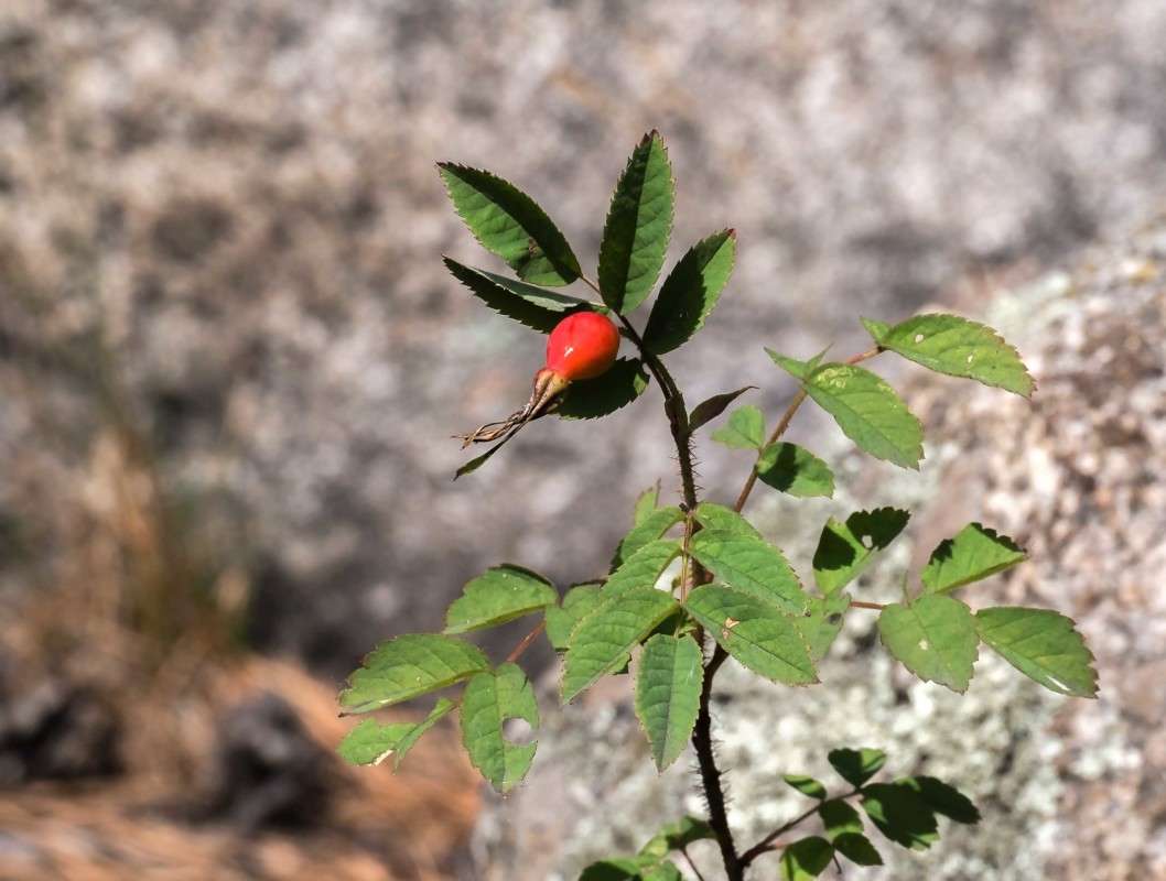 ..� �� ������ ����� ��������.. ����� ������  �� PhotoGeek.ru #������ ��� ������� #����� ��������������