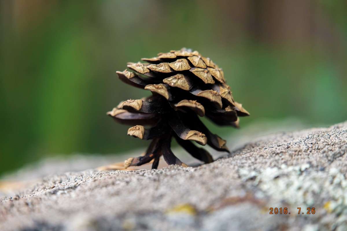 �����.. ����� ������  �� PhotoGeek.ru #������ ��� �������