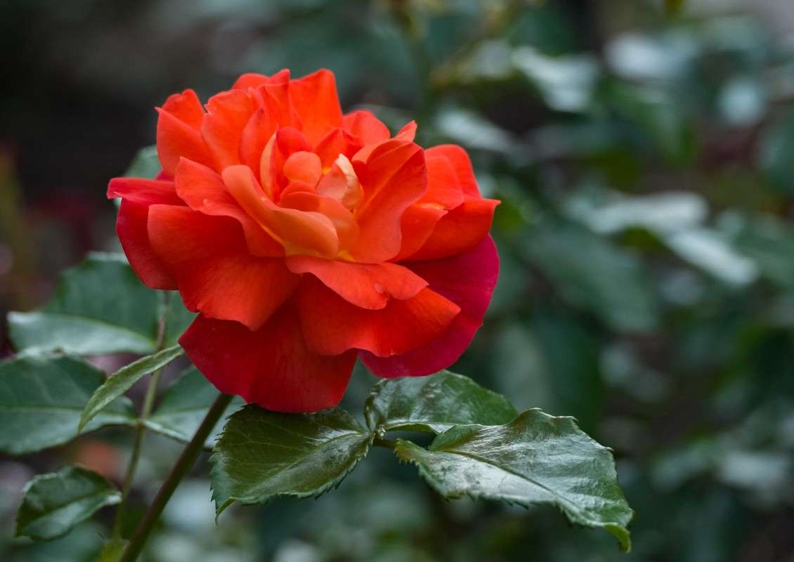 ... ����� ������  �� PhotoGeek.ru #������ ��� ������� #����� ��������������