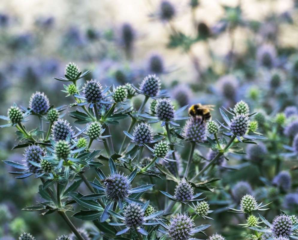 ... ����� ������  �� PhotoGeek.ru #������ ��� ������� #����� ��������������