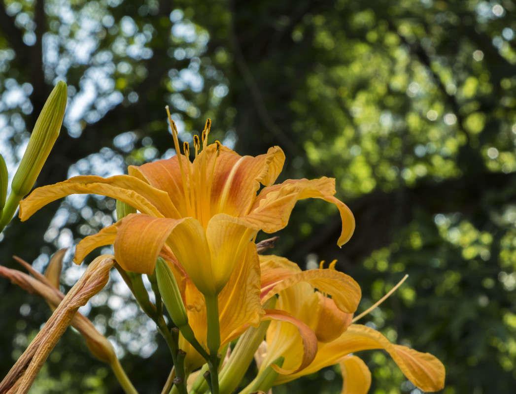 �������� ����� ������  �� PhotoGeek.ru #������ ��� ������� #����� ��������������