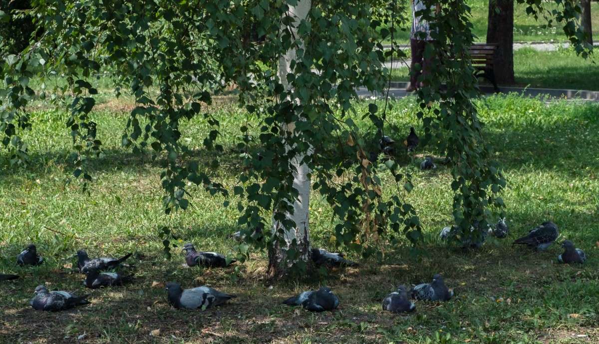 ����.... ����� ������  �� PhotoGeek.ru #�������� ��� #����� ��� ��� ���������