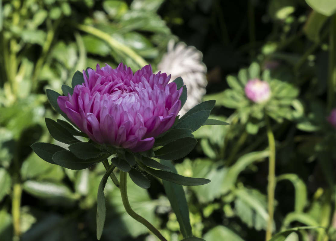 �����.... ����� ������  �� PhotoGeek.ru #������ ��� ������� #����� ��������������