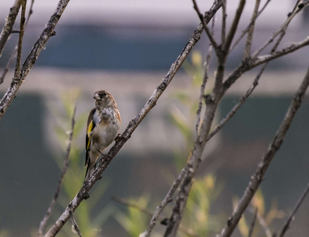 ������� ����� ����� ������  �� PhotoGeek.ru #�������� ��� #����� ��� ��� ���������