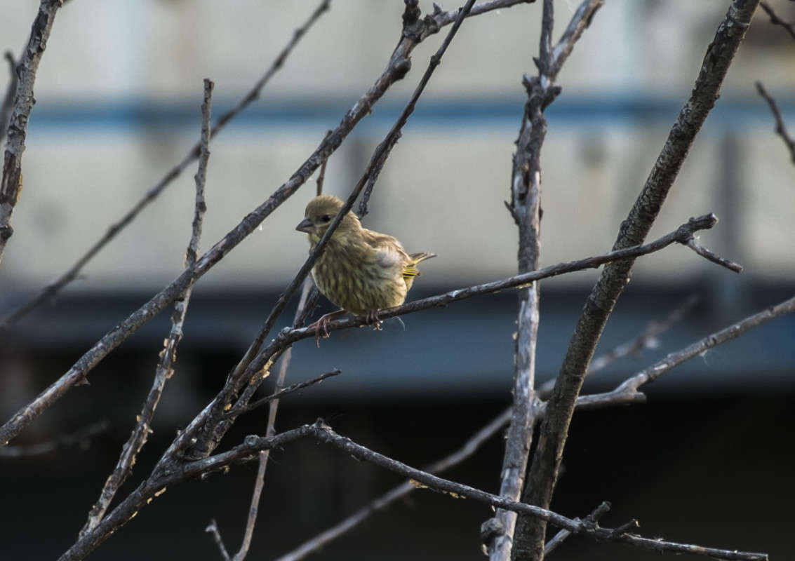 ���������� ����� ������  �� PhotoGeek.ru #�������� ��� #����� ��� ��� ���������