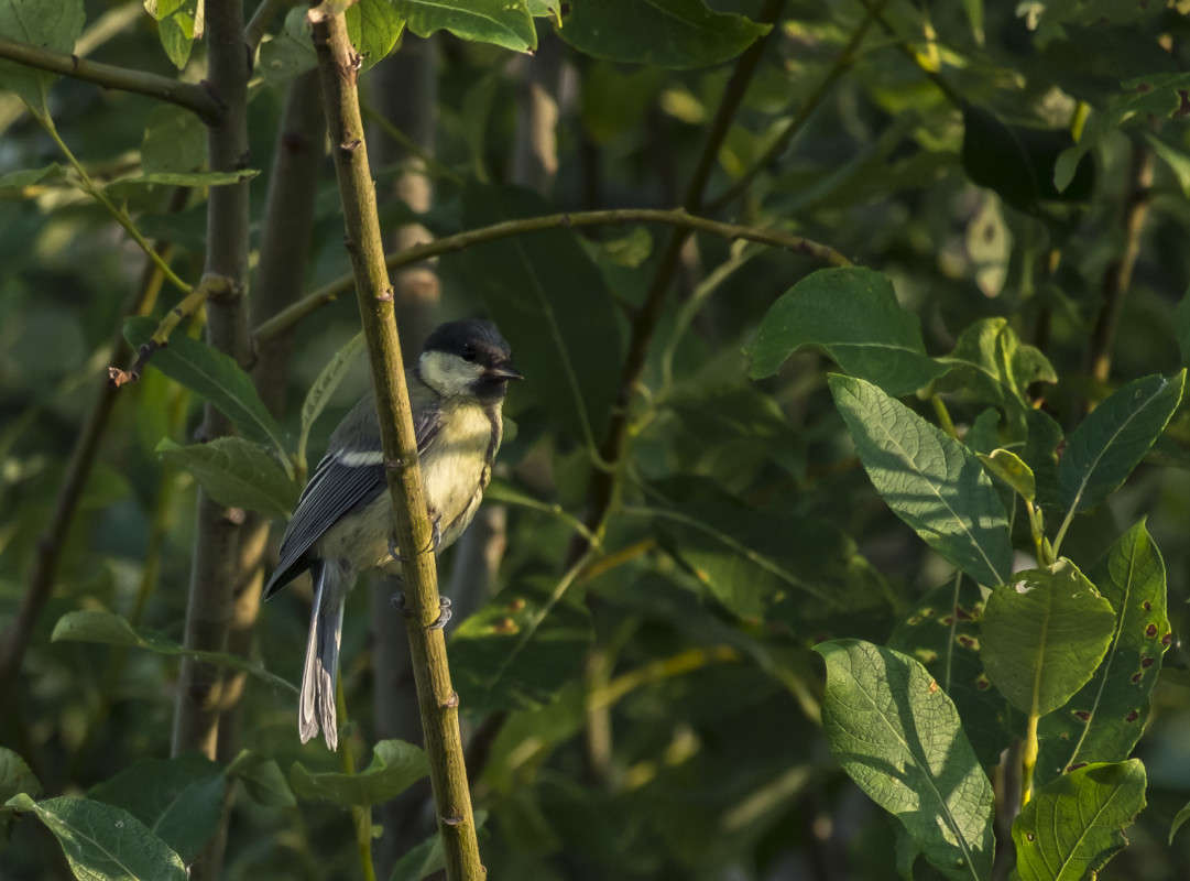 ������� �������.. ����� ������  �� PhotoGeek.ru #�������� ��� #����� ��� ��� ���������