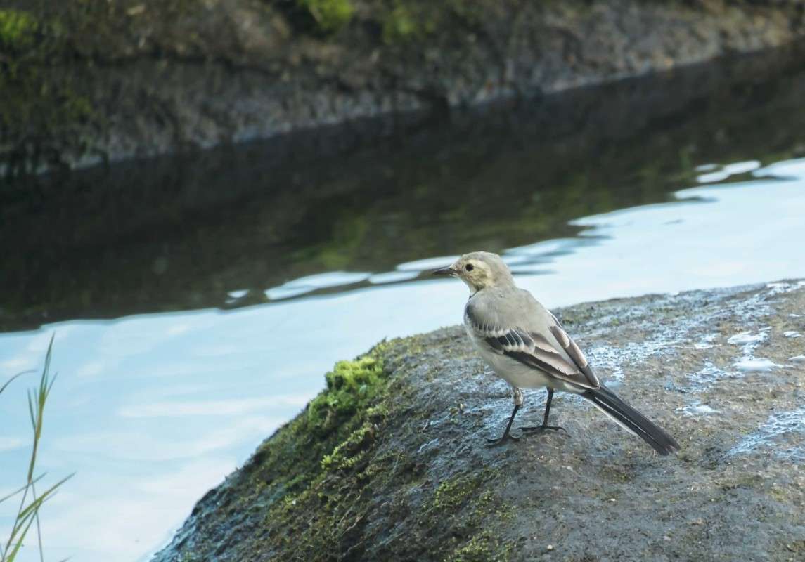 ���������� ����� ������  �� PhotoGeek.ru #�������� ��� #����� ��� ��� ���������