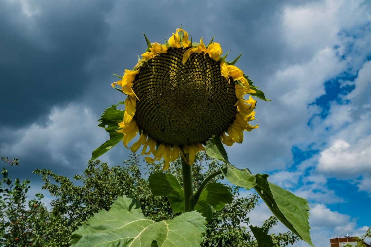 ������ ���������..... ����� ������  �� PhotoGeek.ru #������ ��� ������� #����� ��������������