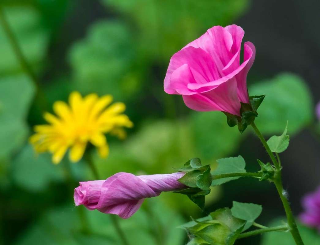 ...... ����� ������  �� PhotoGeek.ru #������ ��� ������� #����� ��������������