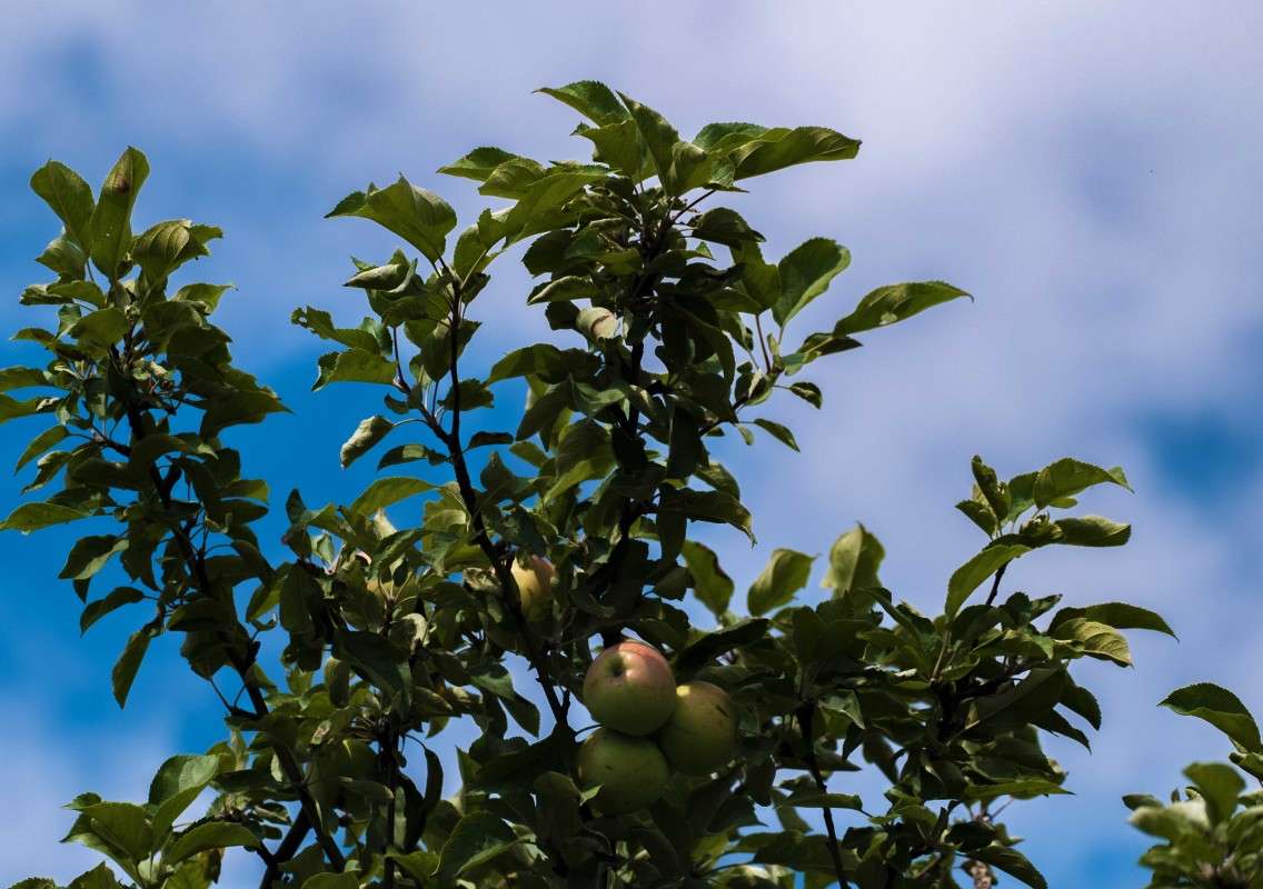 ������� ����������... ����� ������  �� PhotoGeek.ru #������ ��� ������� #����� ��������������