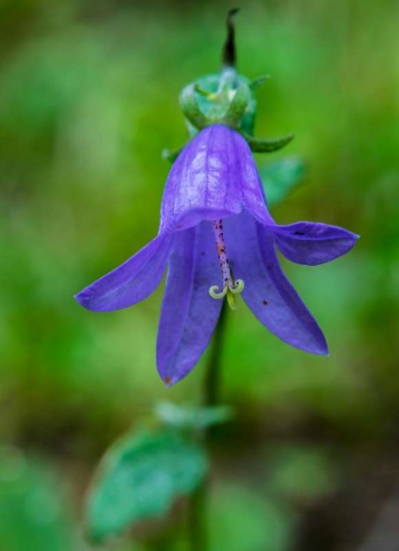 �����������... ����� ������  �� PhotoGeek.ru #������ ��� ������� #����� ��������������