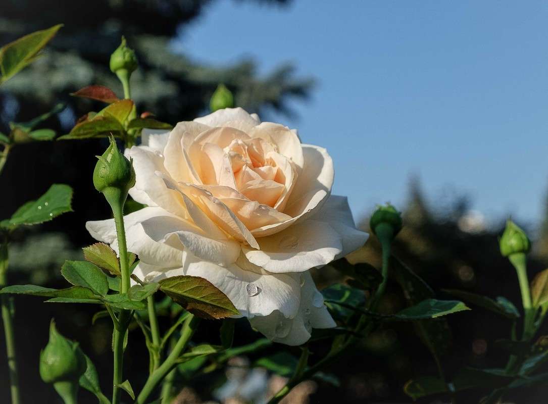 ��������� ����.... ����� ������  �� PhotoGeek.ru #������ ��� ������� #����� ��������������