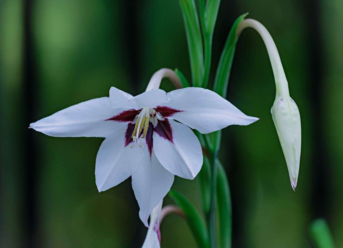 �������.... ����� ������  �� PhotoGeek.ru #������ ��� ������� #����� ��������������